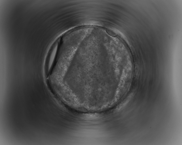 X0000088921125200707061358