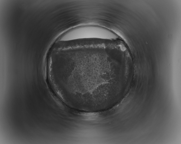 X0000088921127200707061358