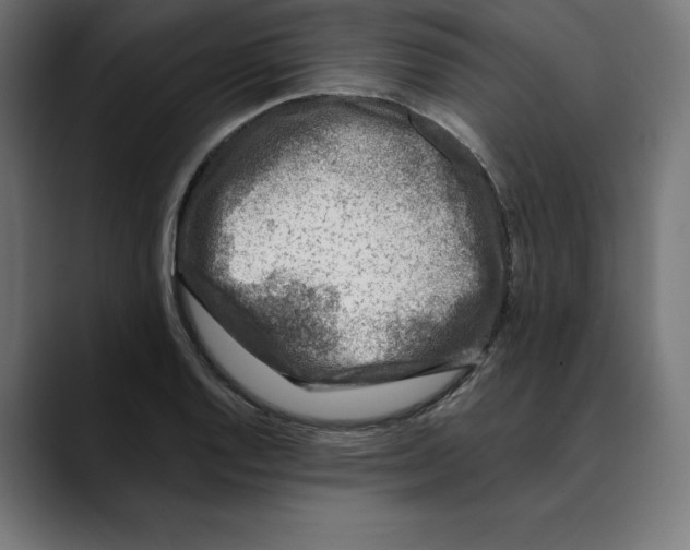 X0000088921128200707061358