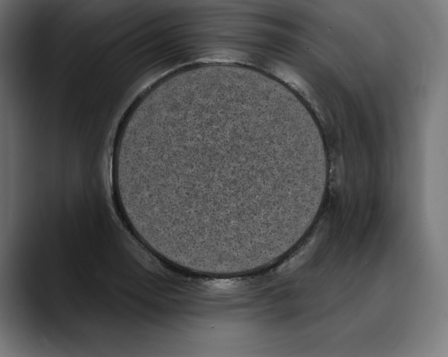X0000088921130200707061358