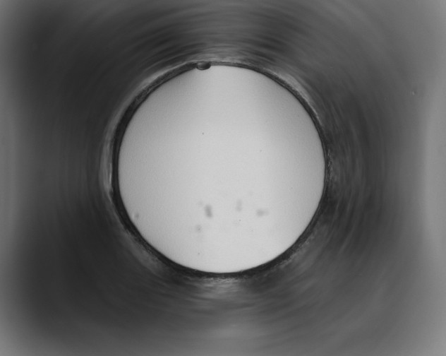 X0000088921131200707061358