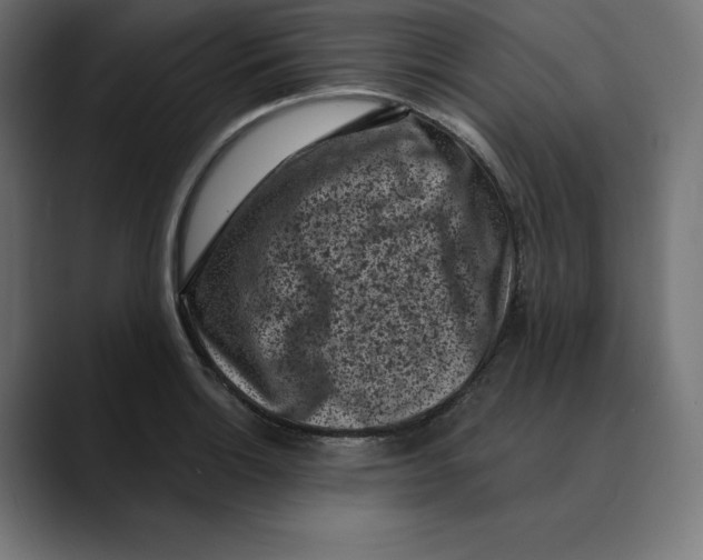 X0000088921132200707061358