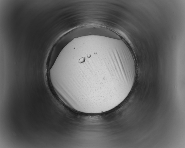 X0000088921133200707061358