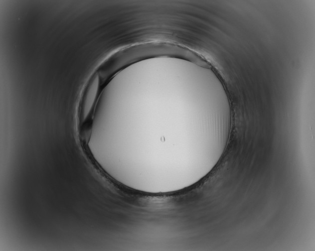 X0000088921134200707061358