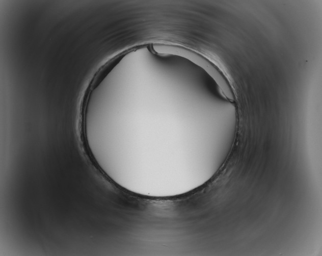 X0000088921136200707061358