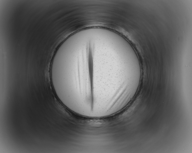 X0000088921137200707061358