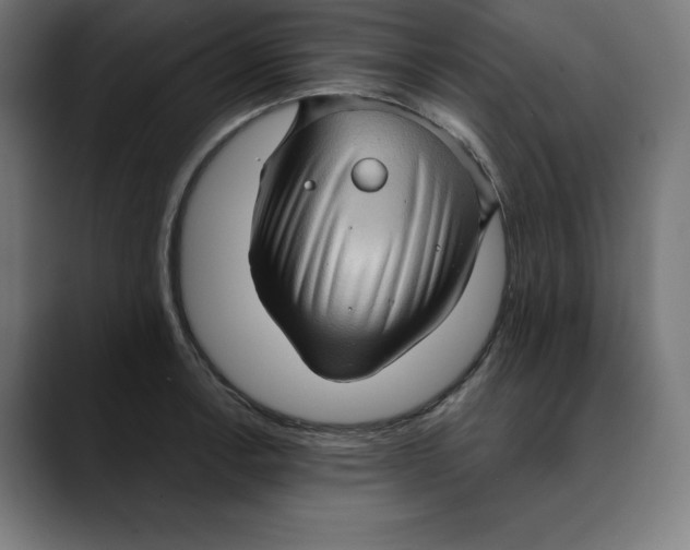 X0000088921138200707061358