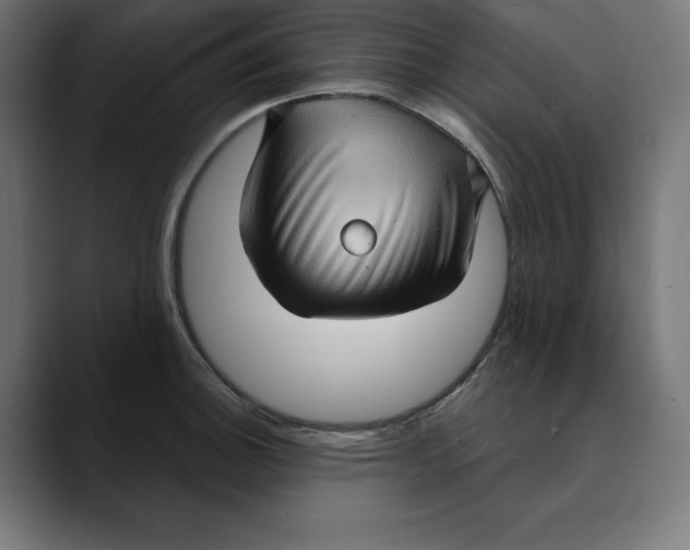 X0000088921140200707061358