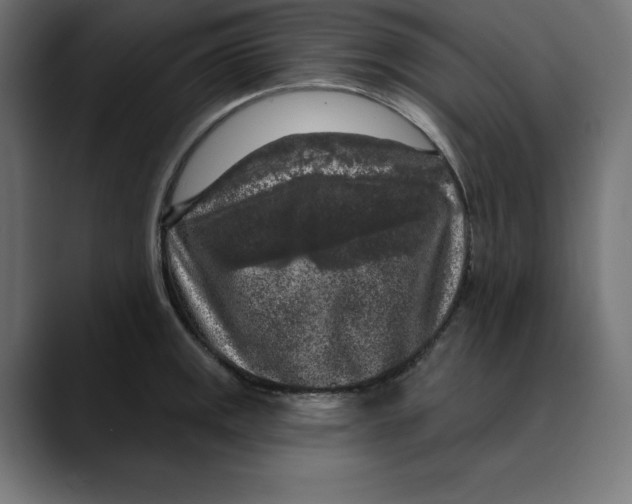 X0000088921141200707061358