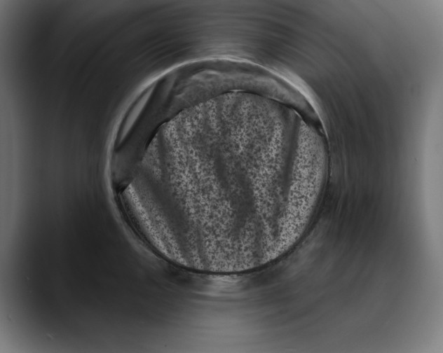 X0000088921144200707061359