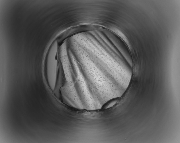 X0000088921146200707061359