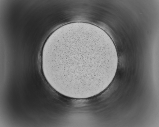 X0000088921150200707061359