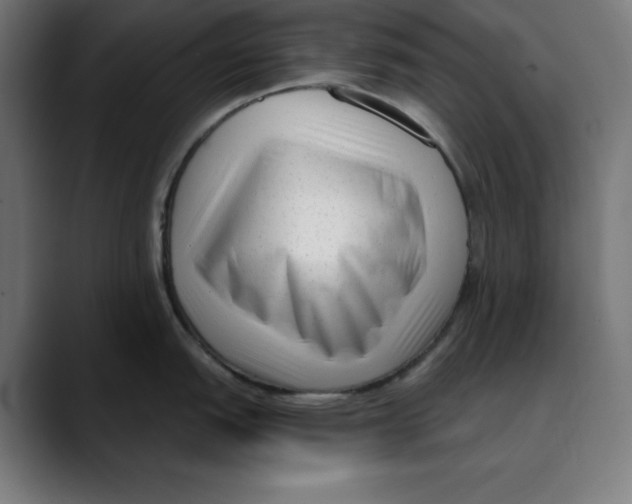 X0000088921151200707061359