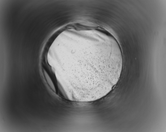 X0000088921152200707061359