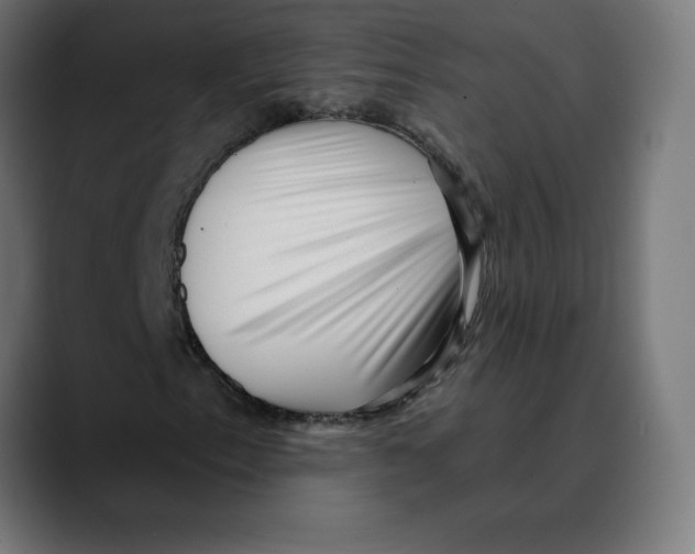 X0000088921153200707061358