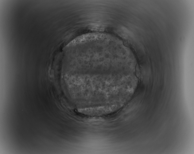 X0000088921154200707061358
