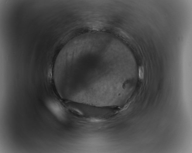 X0000088921155200707061358