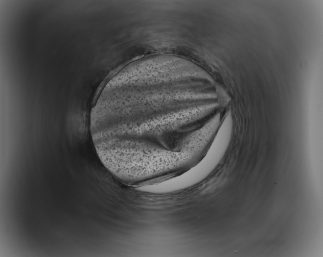 X0000088921156200707061358