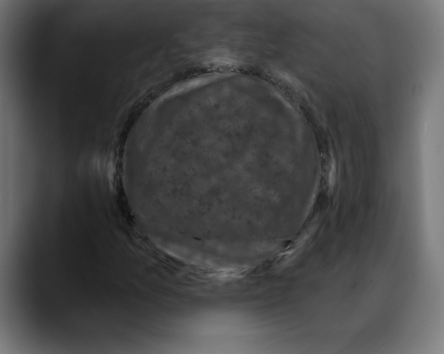 X0000088921157200707061358