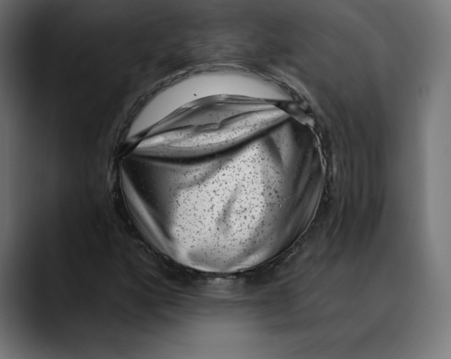 X0000088921160200707061358