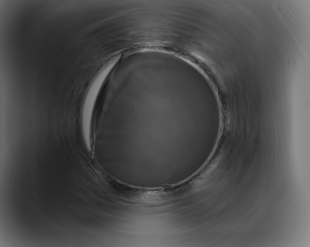 X0000088921161200707061358