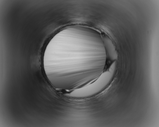 X0000088921164200707061358