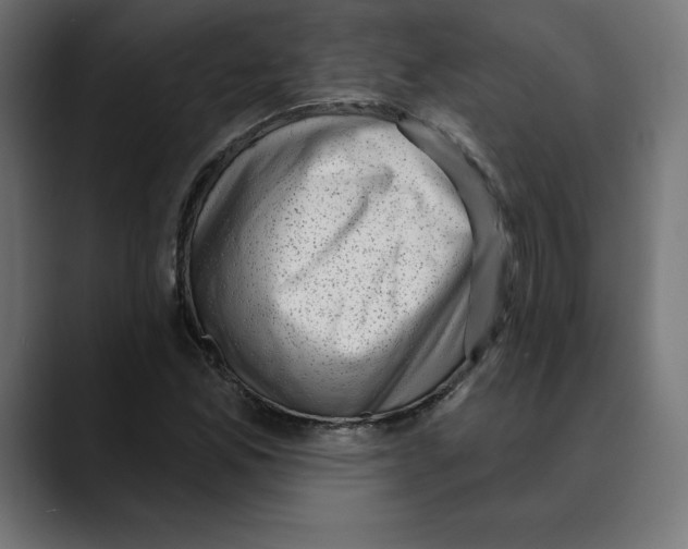 X0000088921165200707061358