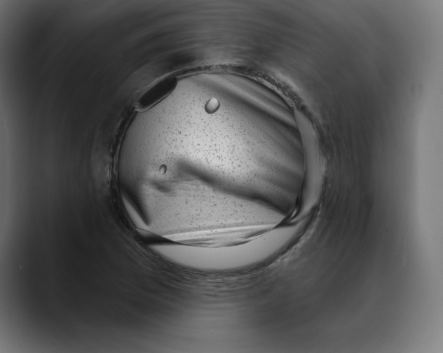 X0000088921169200707061358
