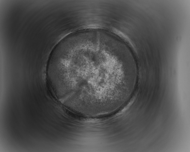 X0000088921170200707061358
