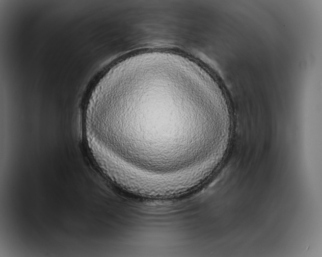 X0000088921171200707061358
