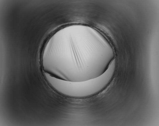 X0000088921172200707061358