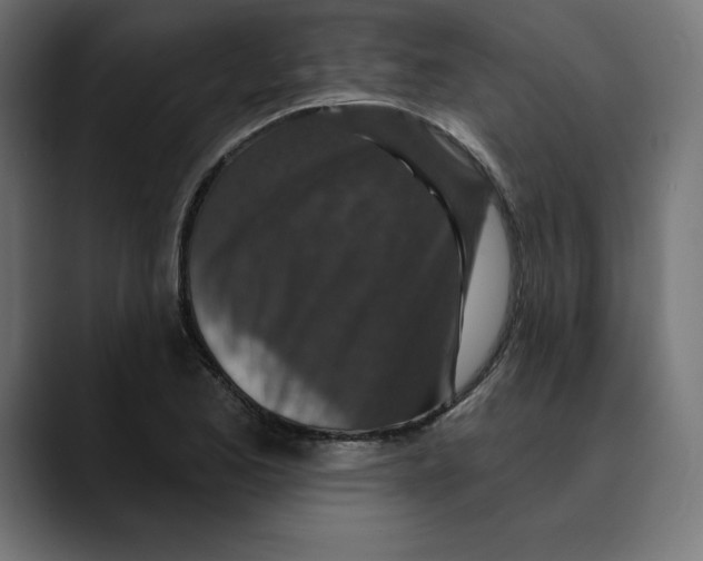 X0000088921173200707061358