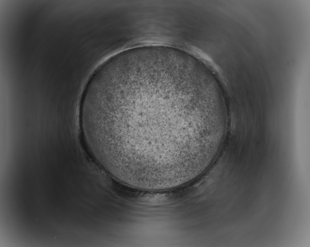X0000088921174200707061358
