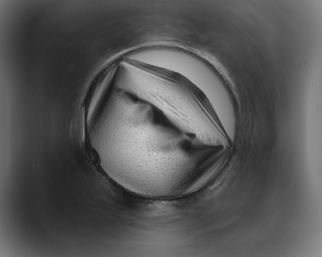 X0000088921175200707061358