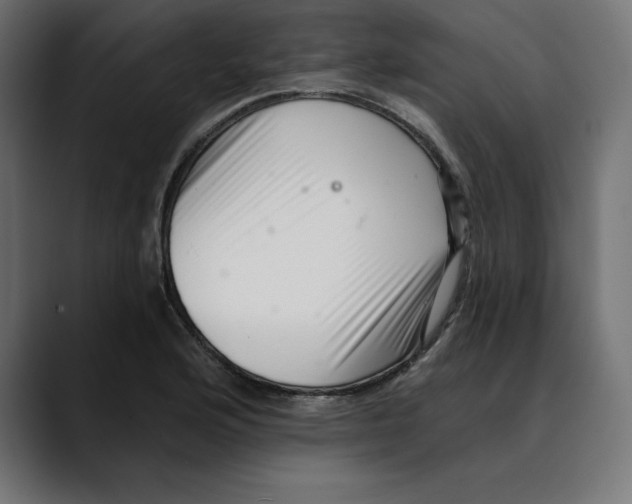 X0000088921176200707061358