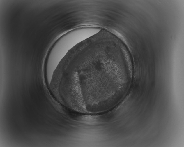 X0000088921179200707061358