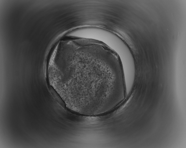 X0000088921180200707061358