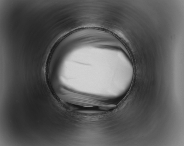 X0000088921181200707061358