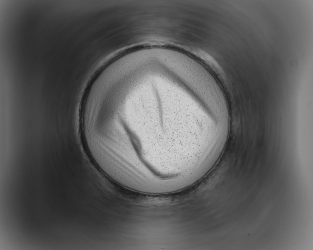 X0000088921183200707061358