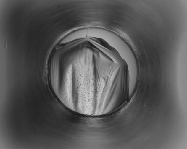 X0000088921184200707061358
