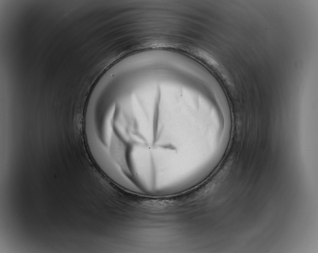 X0000088921185200707061358