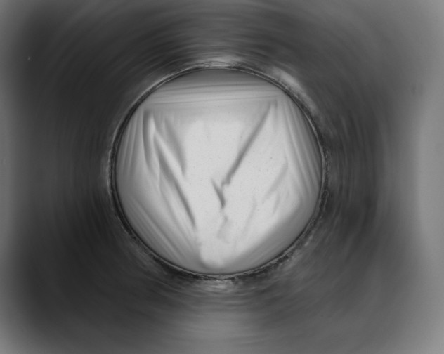 X0000088921186200707061358