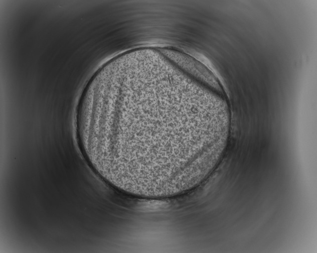X0000088921187200707061358