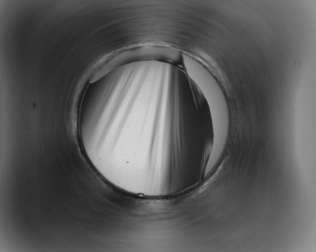 X0000088921188200707061358