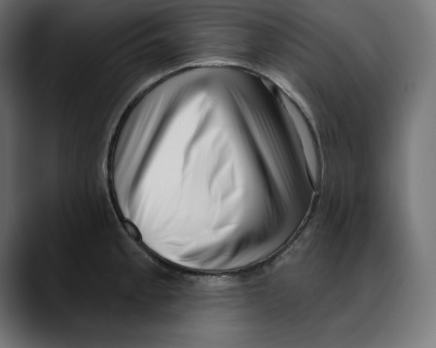 X0000088921189200707061358