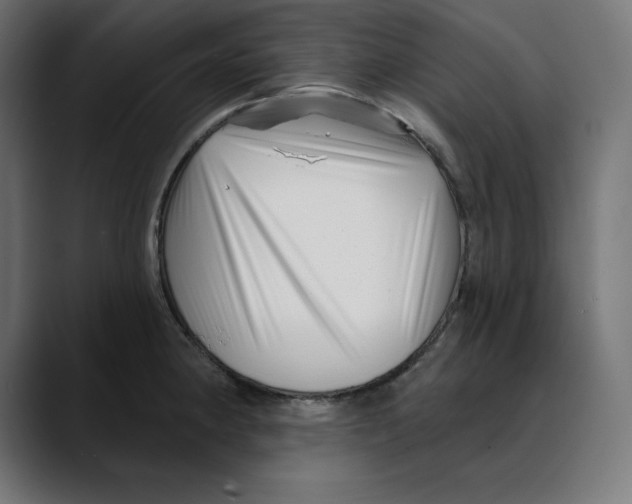 X0000088921190200707061358
