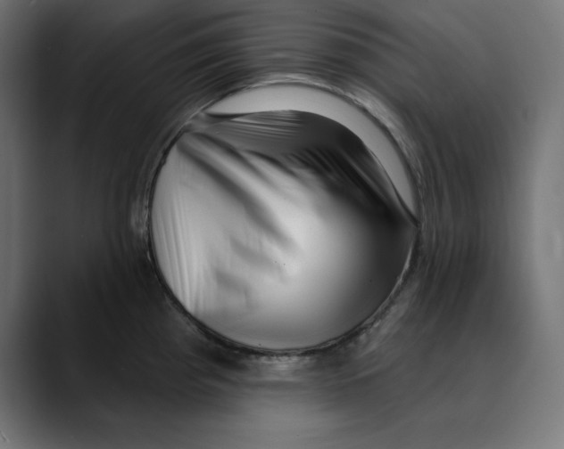 X0000088921193200707061358
