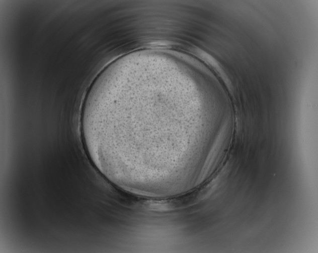 X0000088921194200707061358