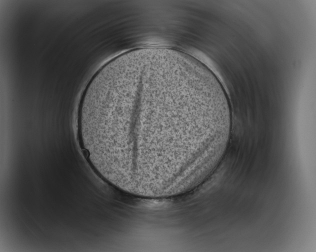X0000088921195200707061358
