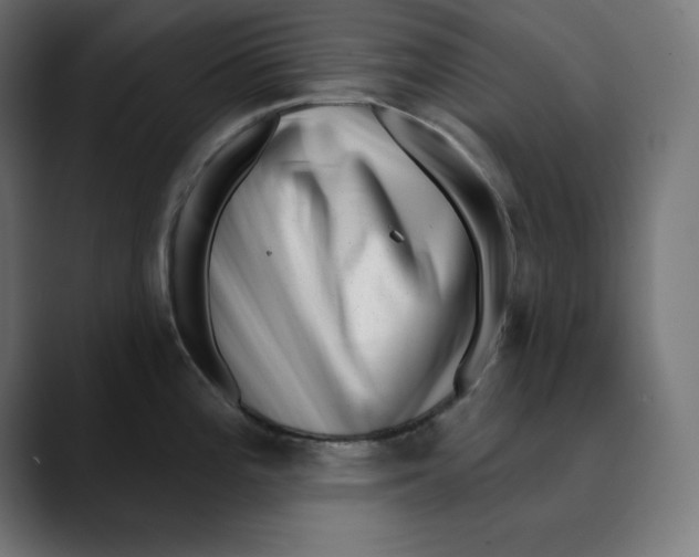 X0000088921196200707061358